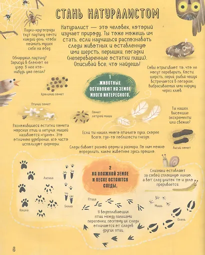 Безумная наука. Исследуй все вокруг! - фото 5