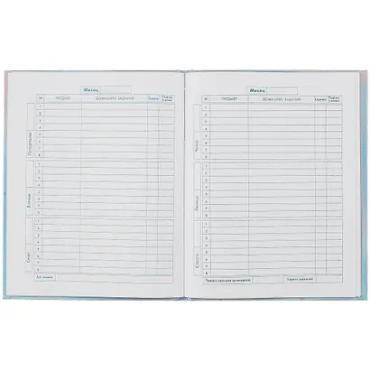 Дневник для младших классов Феникс+, "Панда" - фото 2