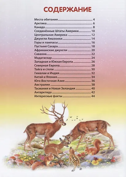 Детская энциклопедия животных (илл. Арредондо) Добладо - фото 2