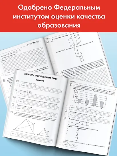 Математика: большой сборник тренировочных вариантов проверочных работ для подготовки к ВПР: 6-й класс - фото 3