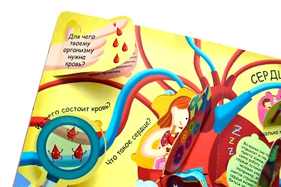 Волшебные окошки. Моё тело - фото 5