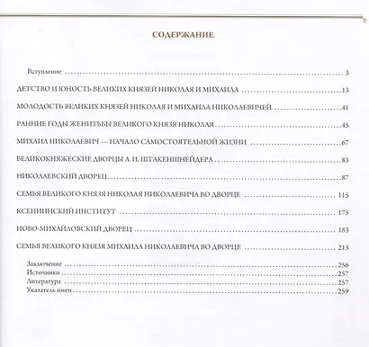 Дворцы великих князей Николая и Михаила - фото 2