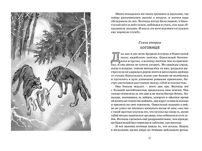 Белый Клык - фото 12