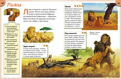 Детская энциклопедия. Найди ответ - фото 6