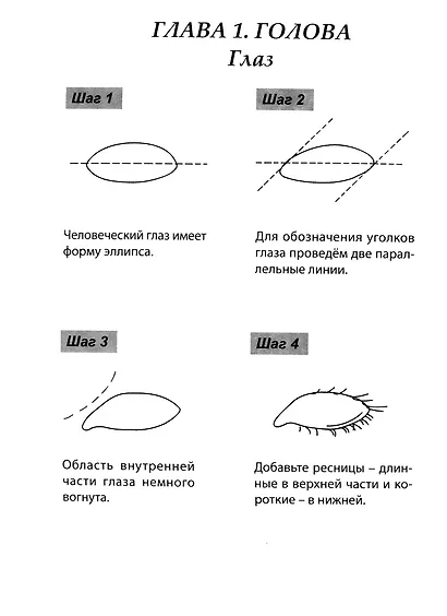Скетчбук А5 Уроки рисования по шагам. Анатомия человека - фото 2