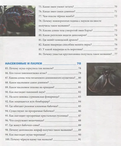 Удивительные животные. Энциклопедия - фото 9