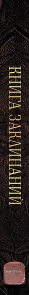 Книга заклинаний. Помощник начинающей ведьмы - фото 5