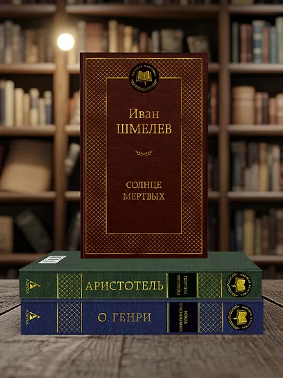 Солнце мертвых - фото 6