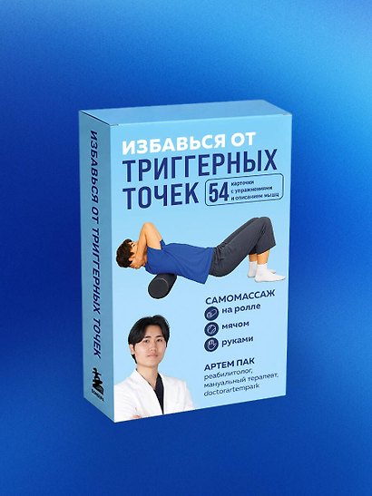 Избавься от триггерных точек. 54 карточки с упражнениями и описанием мышц - фото 9