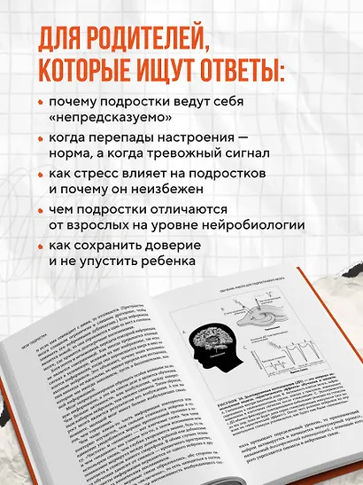 Мозг подростка. Спасительные рекомендации нейробиолога для родителей тинейджеров (обновленное издание) - фото 5