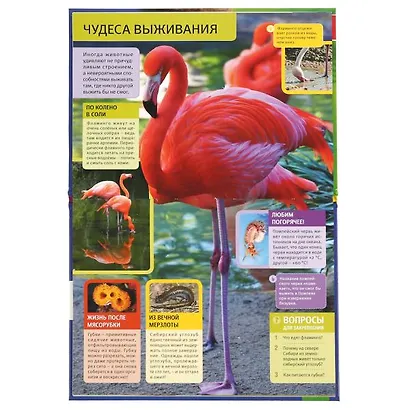 Необычные животные - фото 4