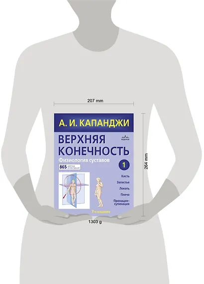 Верхняя конечность. Физиология суставов (обновленное издание) - фото 4