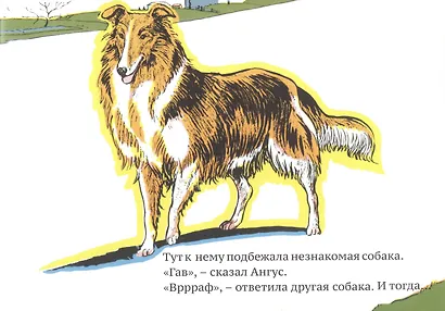 Ангус потерялся - фото 5
