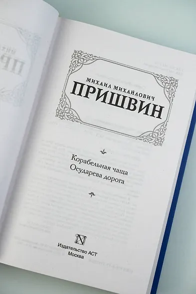 Корабельная чаща. Осударева дорога - фото 8