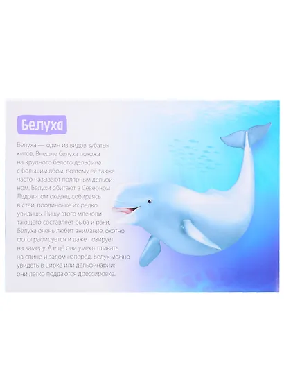 Обучающие книги набор «Удивительный мир» (комплект из 6-ти книг) - фото 3