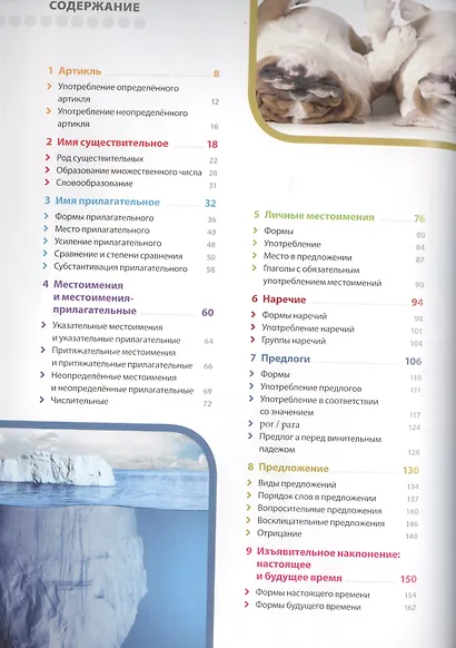 Испанский язык. Иллюстрированная грамматика - фото 2