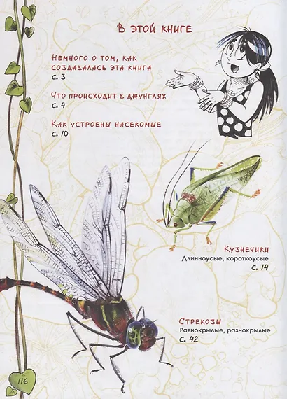 В джунглях не только тигры. Бабочки-стрекозки - фото 2