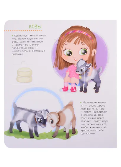 Что? Почему? Зачем? Домашние животные. 50 волшебных окошек - фото 4