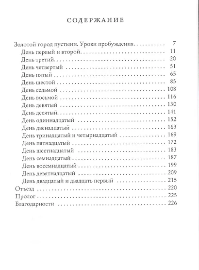Золотой город пустыни. Уроки пробуждения - фото 2