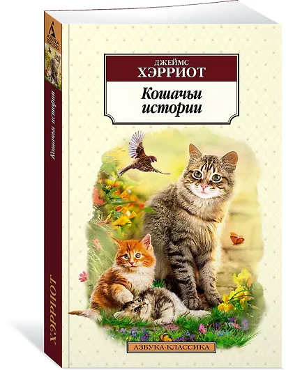 Кошачьи истории - фото 3