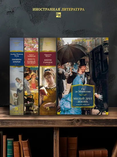 Милый друг. Жизнь. Романы, новеллы - фото 6