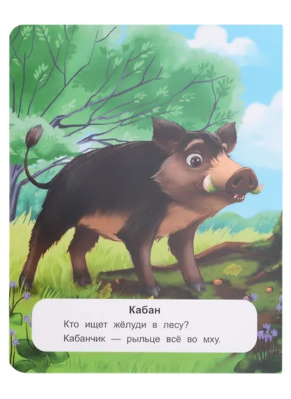 Лесные животные: стихи - фото 4