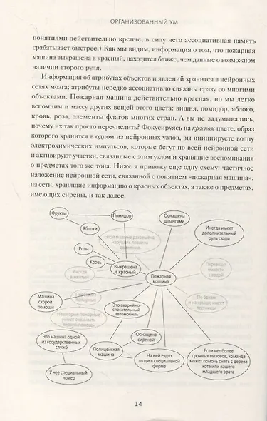 Организованный ум. Как мыслить и принимать решения в эпоху информационной перегрузки - фото 6