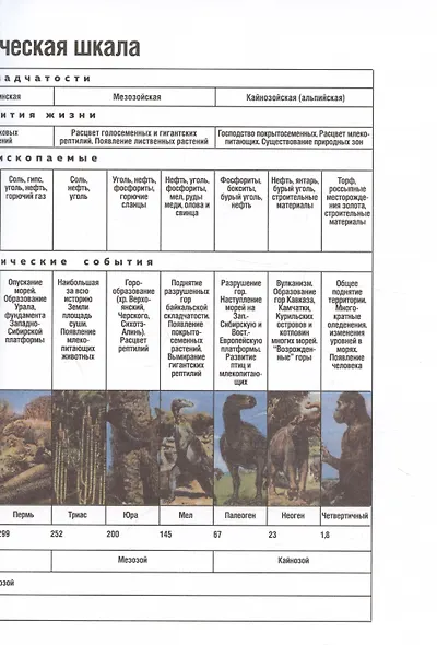 Вологодчина. ДО и ПОСЛЕ динозавров - фото 8