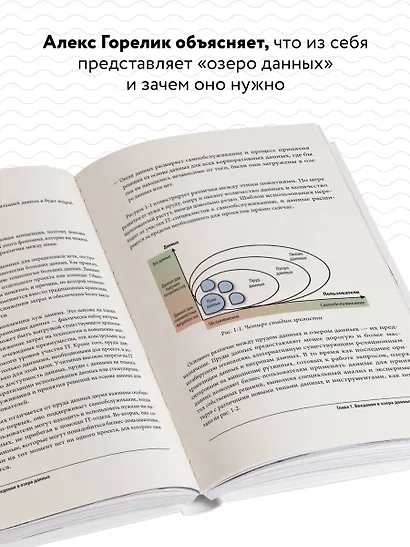 Корпоративное озеро больших данных. Новый подход к использованию Big Data и Data Science в бизнесе - фото 5