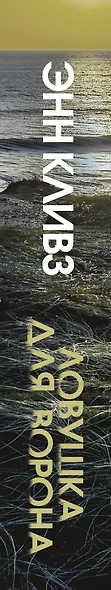 Ловушка для ворона - фото 5