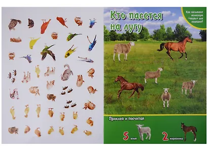 Домашние животные. (активити +50 найди и покажи). - фото 2