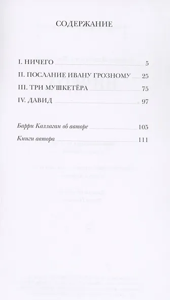 Ничего - фото 2