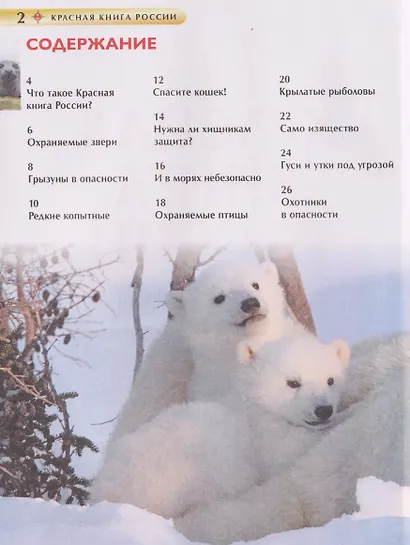 Красная книга России. Детская энциклопедия - фото 6