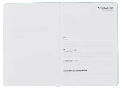 Ежедневник недат. А5 128л "SYNONIMS" 2, иск.кожа 7Б, тв.переплет, поролон, скругл.углы, офсет - фото 4