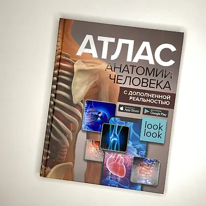 Атлас анатомии человека с дополненной реальностью - фото 4