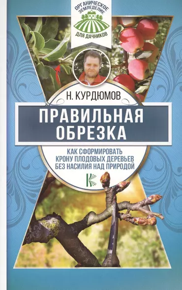 Правильная обрезка. Как сформировать крону плодовых деревьев без насилия над природой - фото 1