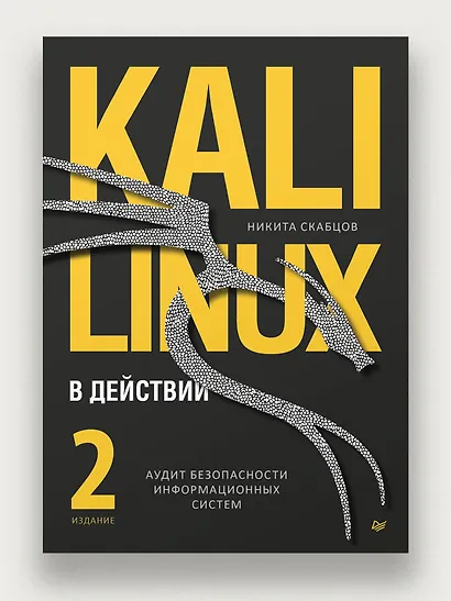 Kali Linux в действии. Аудит безопасности информационных систем - фото 4