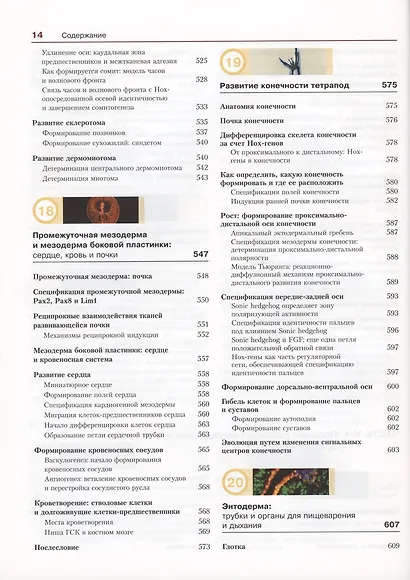 Биология развития - фото 9