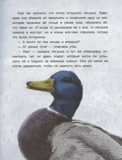 Лягушка-путешественница - фото 5