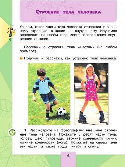 Окружающий мир. 2 класс. Учебник. В 2-х частях. Часть 2 - фото 5