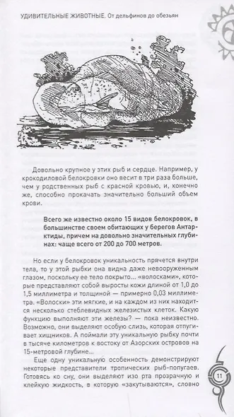 Удивительные животные. От дельфинов до обезьян - фото 9
