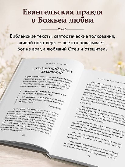 Доброта Господа моего. От богословия страха к Божьей любви - фото 7