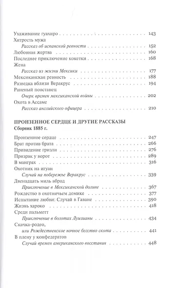 Призрак у ворот - фото 3