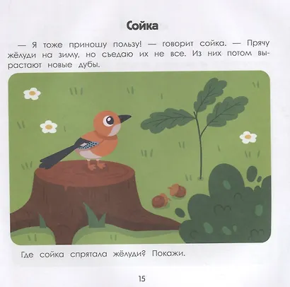 Лес: энциклопедия для малышей в картинках - фото 5