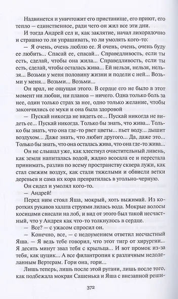 Леониды не вернутся к земле - фото 3