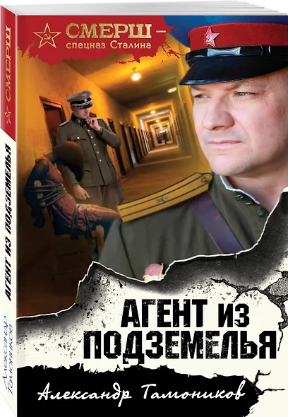 Агент из подземелья - фото 3