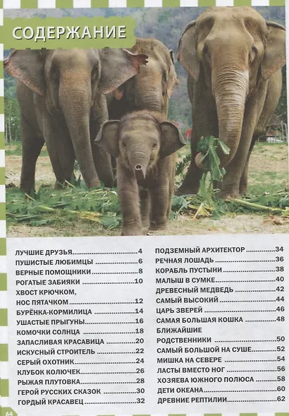 Детёныши животных - фото 2