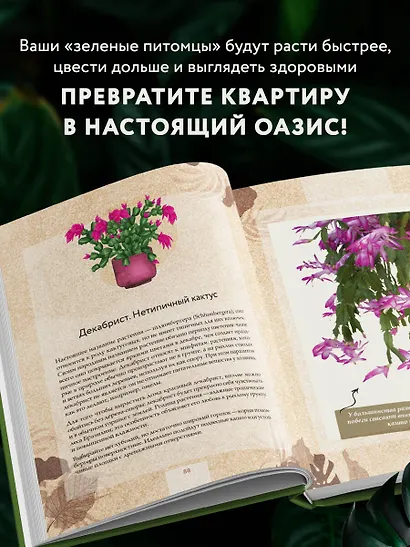 Зеленая комната. Как стать повелителем домашних джунглей - фото 8