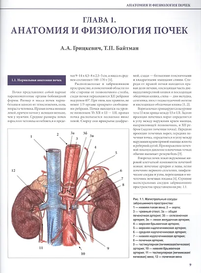 Хирургия почечных сосудов - фото 4