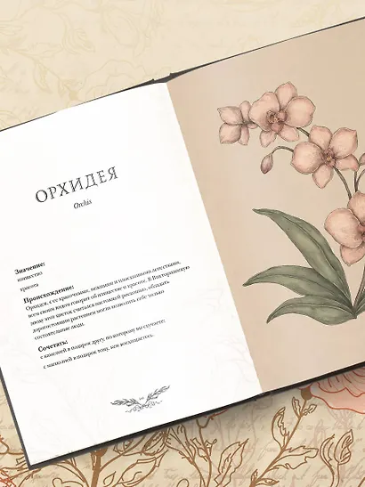 Флориография. Карманное руководство по викторианскому языку цветов - фото 10